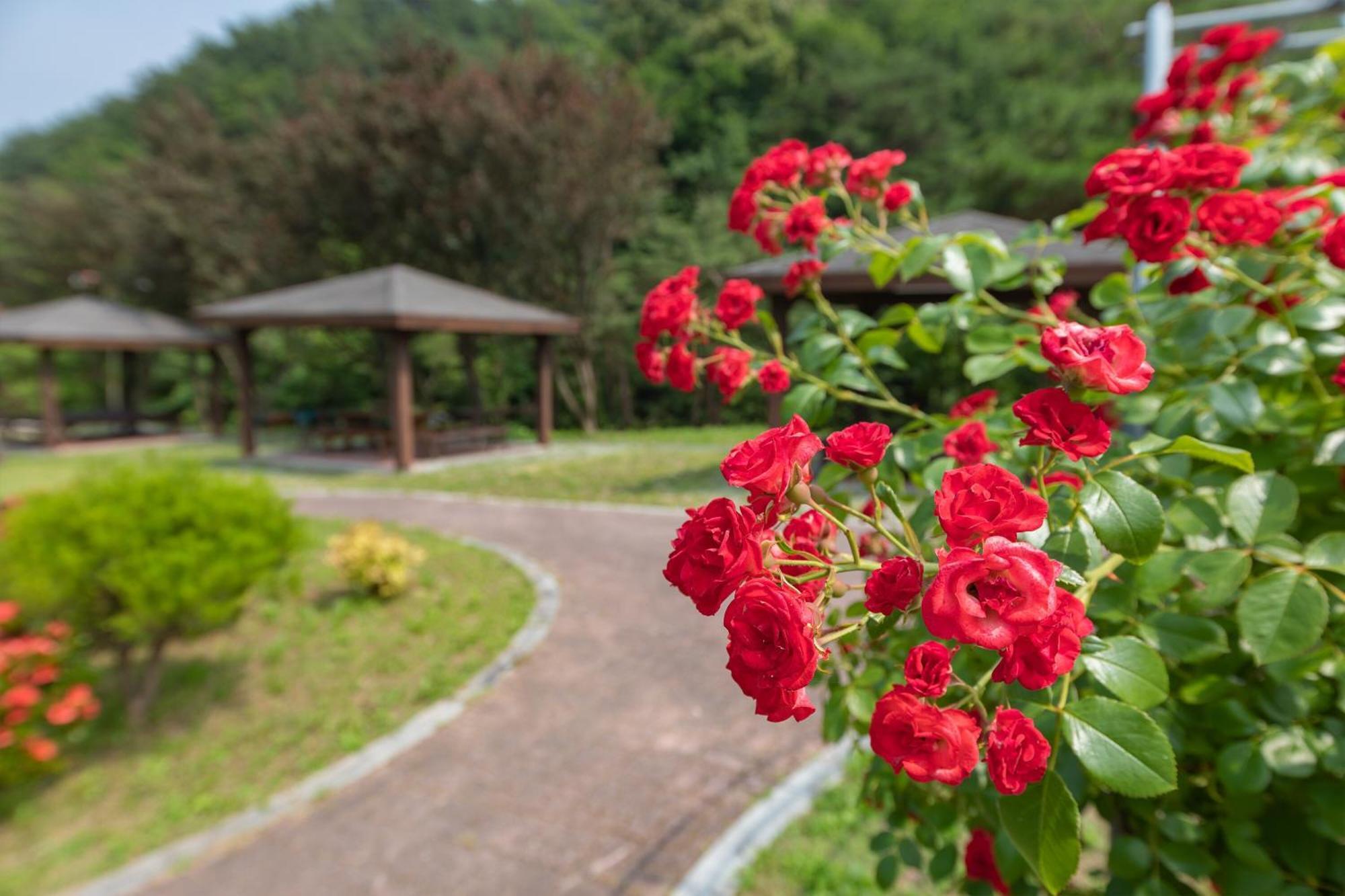 Gangneung Yasaenghwa Maeul 호텔 외부 사진